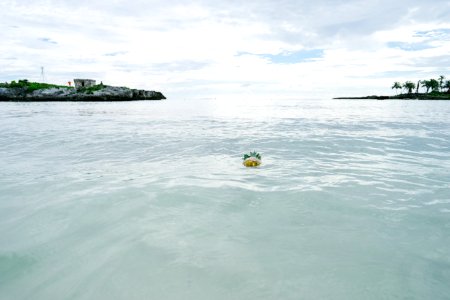 Sirenis riviera maya resort, Akumal, Mexico