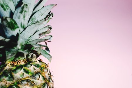 pineapple photo photo