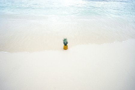pineapple on white sand seashore photo