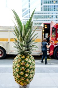 shallow focus photo of pineapple photo