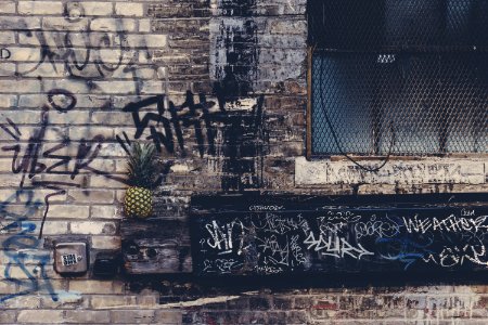 pineapple fruit on top of brown edge