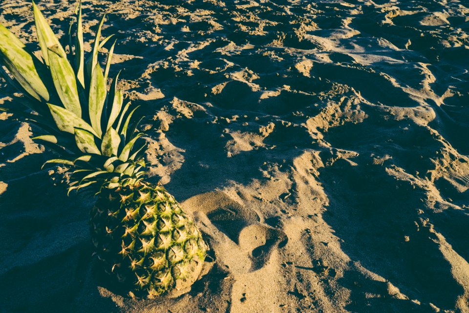 Fruit, Beach, Pineapple