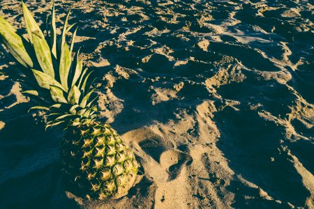Fruit, Beach, Pineapple photo