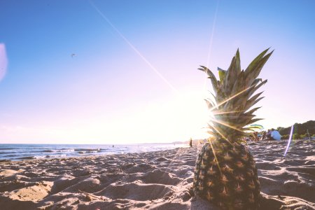pineapple in beach during daytime photo