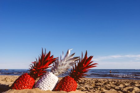 two red and white pineapples on seashore during daytime photo