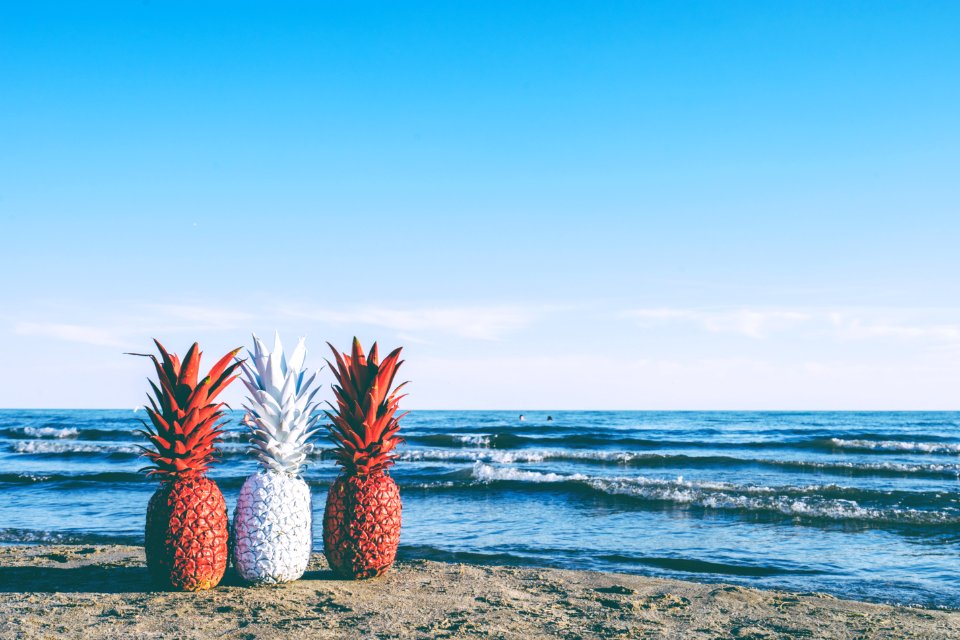 three pineapple fruits in beach