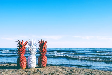 three pineapple fruits in beach