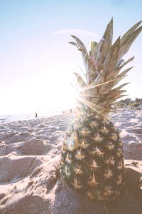 green pineapple fruit on gray sand photo