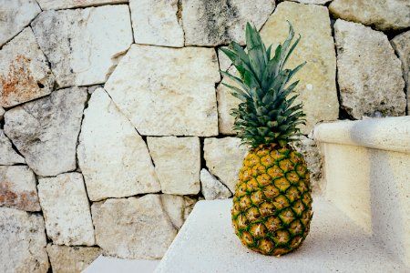 Pineapple fruit photo