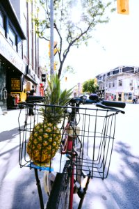 pineapple on black basket photo