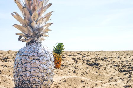 closeup photo of pineapple on shore photo