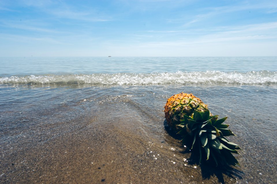 green pineapple on seashore during daytime
