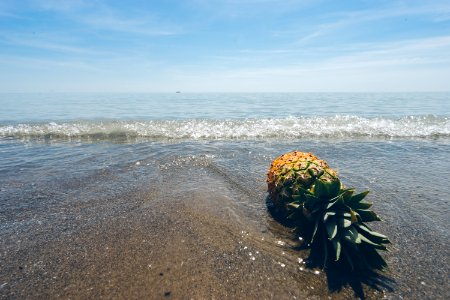 green pineapple on seashore during daytime