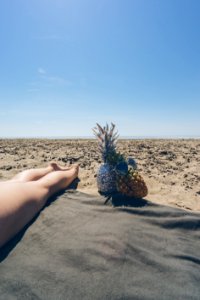 two pineapple near barefooted person on brown field photo