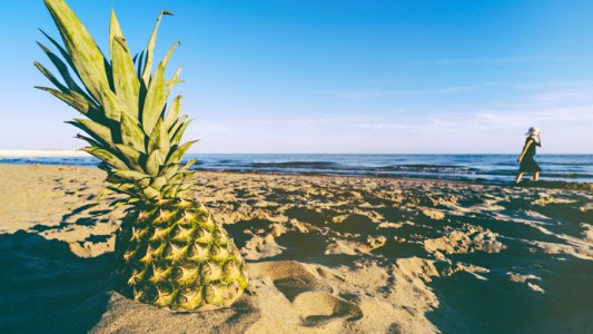 green pineapple on seashore during daytime photo