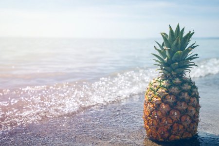 pineapple fruit on seashore photography photo