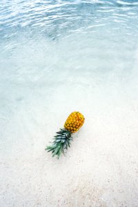 pineapple on seashore photo