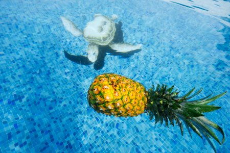 pineapple on body of water photo
