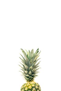 pineapple fruit photo