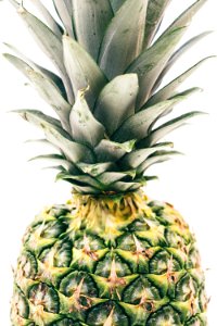 green pineapple fruit photo