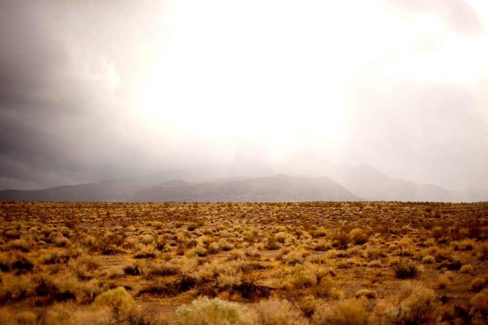 Death valley national park, Furnace creek, United states