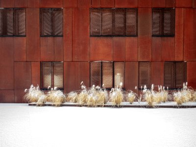 Wien,  sterreich, Snow