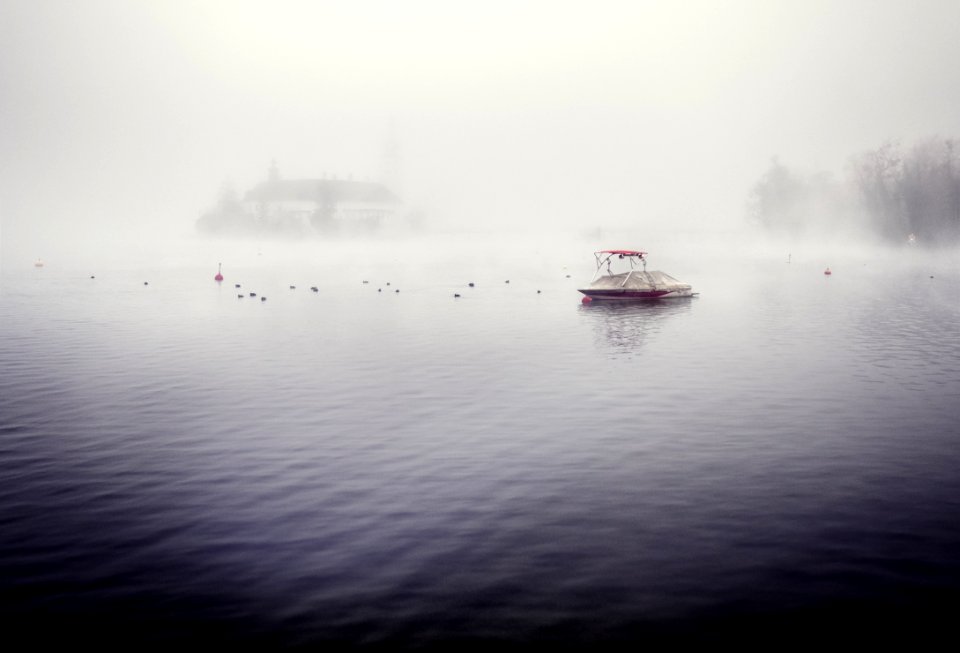 Gmunden, Ducks, Salzkammergut