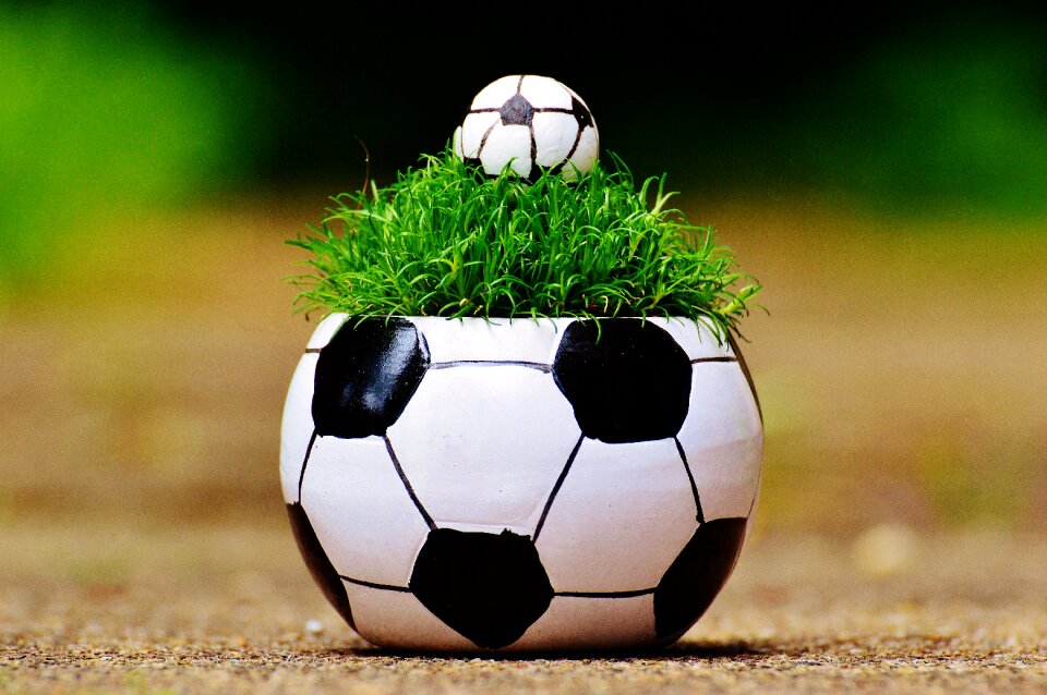 Grass france tournament