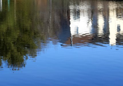 Reflections, Water, Trees photo