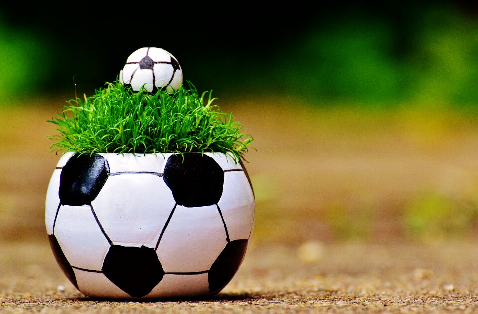 Grass france tournament