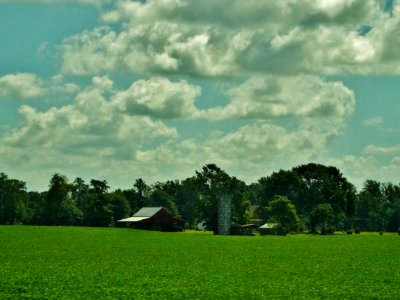 Farm, Scape
