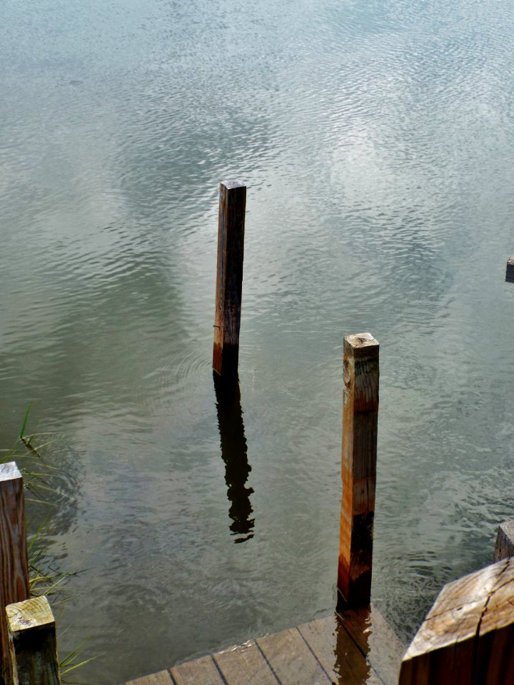 Tangier isl, United states, Pilings