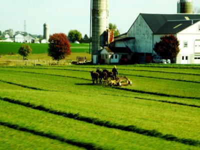 Tractor, Farm, Amishfarmer