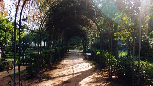 Spain, Parque de mara luisa, Sevilla