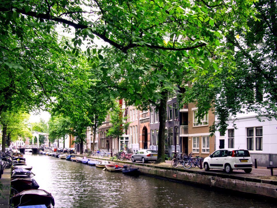 Amsterdam, Netherl, Green photo
