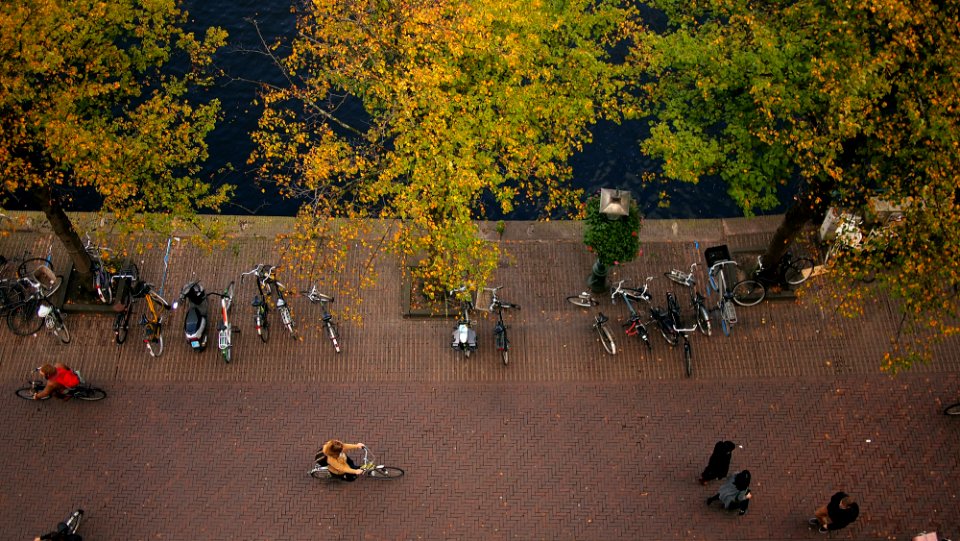 Leiden, Netherl, Autumn photo