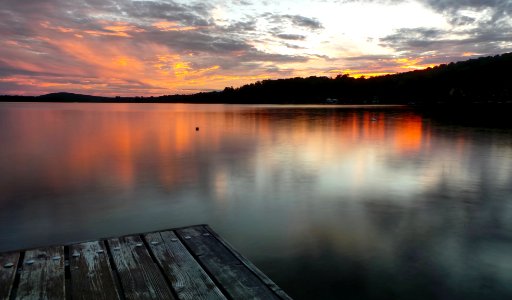 wooden dock near tree during golden hour photo