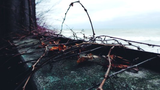 Bootleggers point, United states