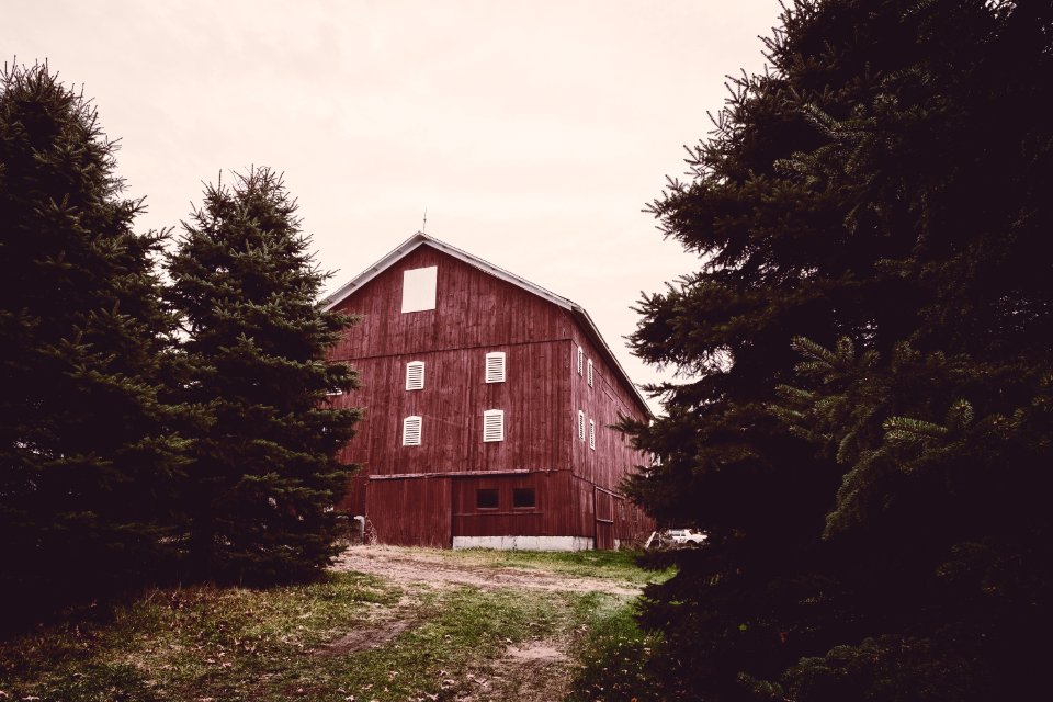 Green, United states, Rural