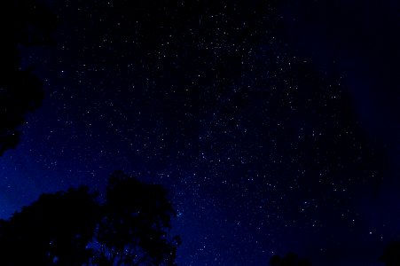 starry night