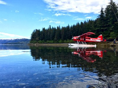 Prince william sound, United states, Water