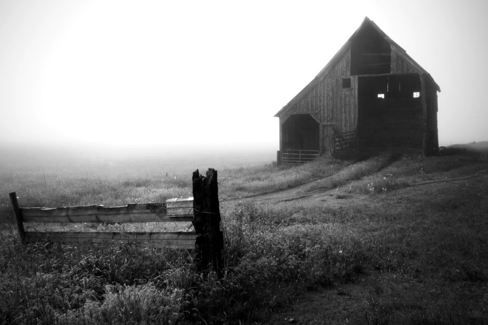 Nine mile falls, United states, Farm