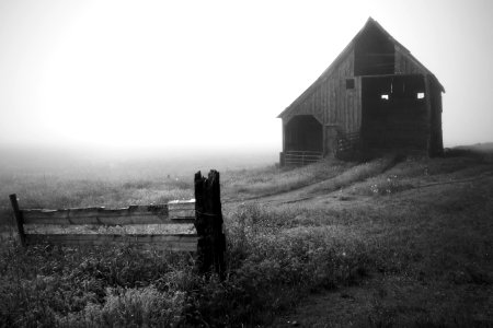 Nine mile falls, United states, Farm