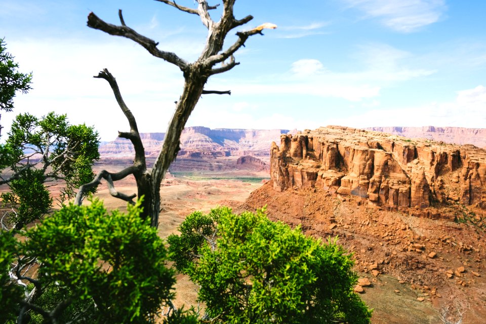 aerial view photography of rock formation at the desert photo