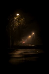 turned-on street lamps photo