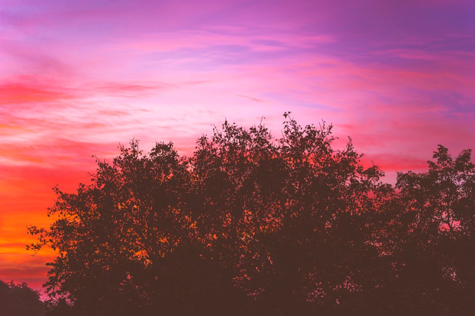 Nature, Happiness, Old rajindert nagar
