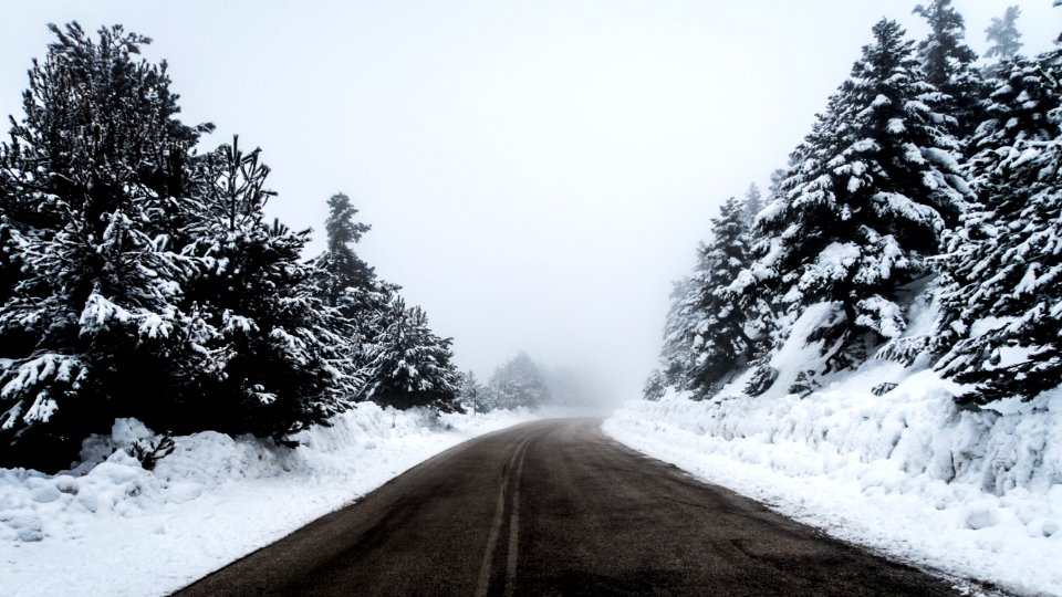 black concrete pathway surrounded by snow covered trees during daytime photo