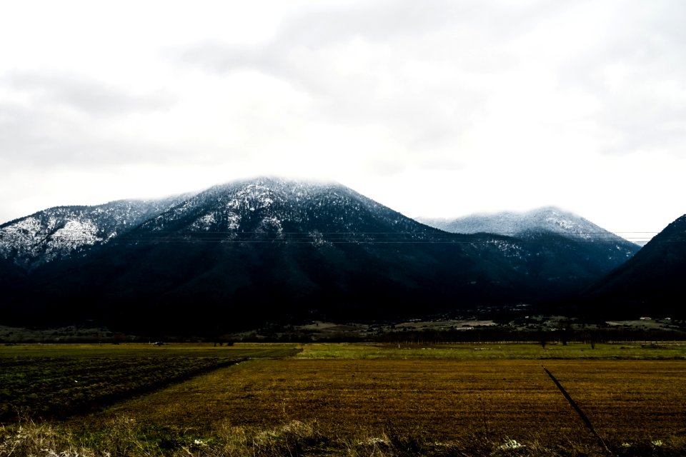 Stymfalia, Greece, Forest