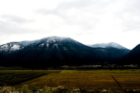 Stymfalia, Greece, Forest