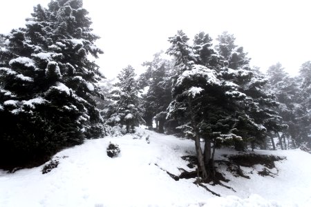 Ano trikala, Greece, Snowy photo